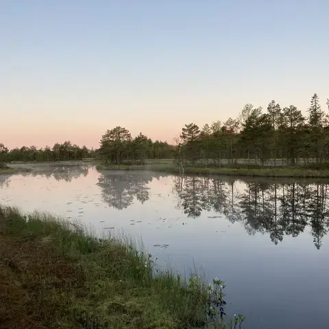 Märgala