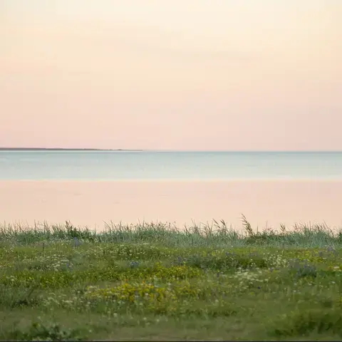 Rannaniit