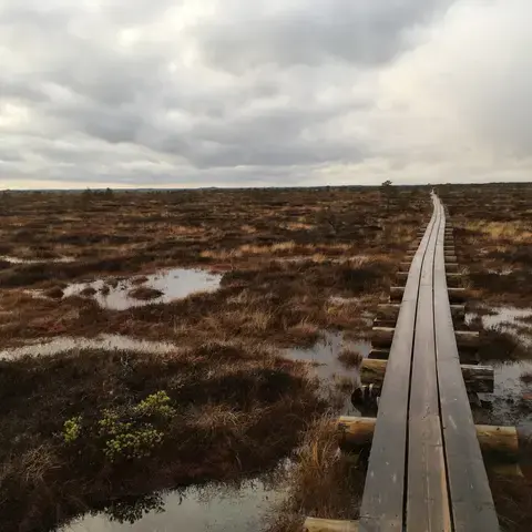 Märgala pilvise ilmaga