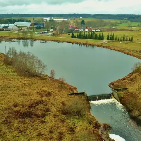 Ruila paisjärv