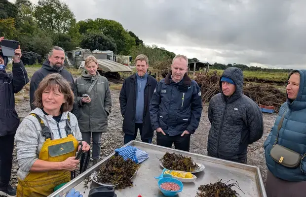 Oyster farm 
