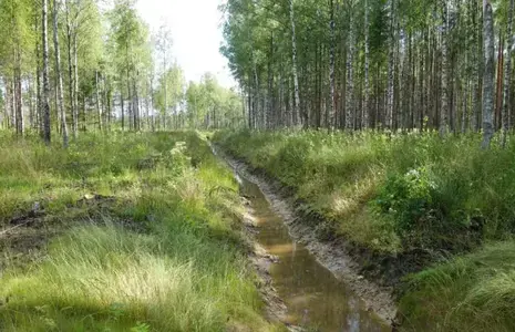 Maaparandus