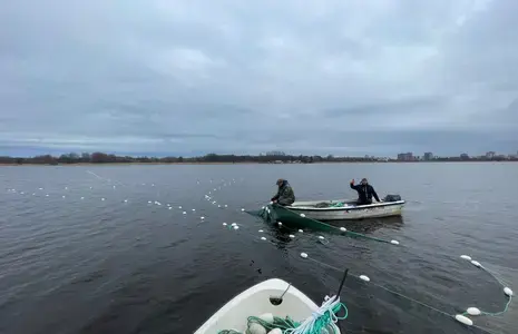 Harku järv