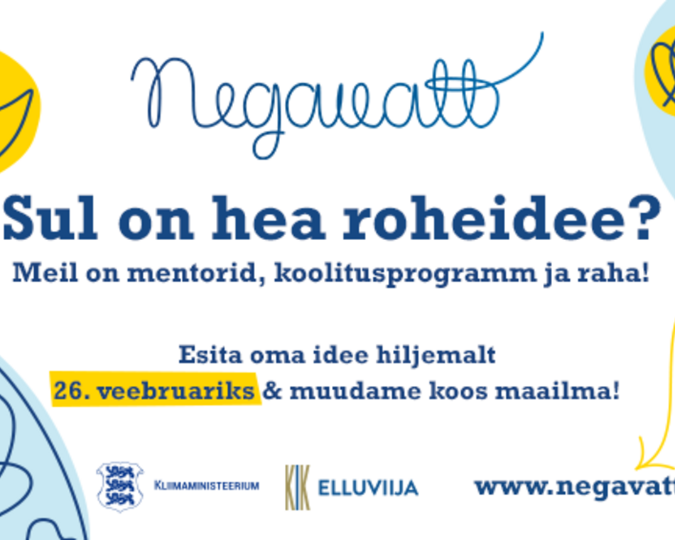 Negavatt 2024 pisike